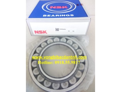 BẠC ĐẠN 22226-EAKE4 NSK